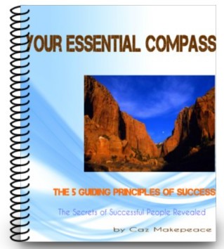 free ebook on success